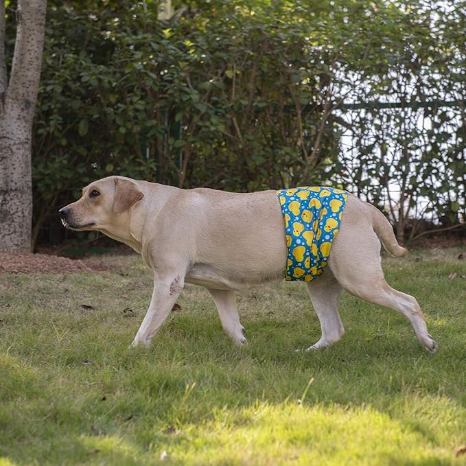 CuteBone Belly Wrap Male Dog Washable Puppy Diapers Reusable Doggie Diapers Large 3pcs a Pack DM02L