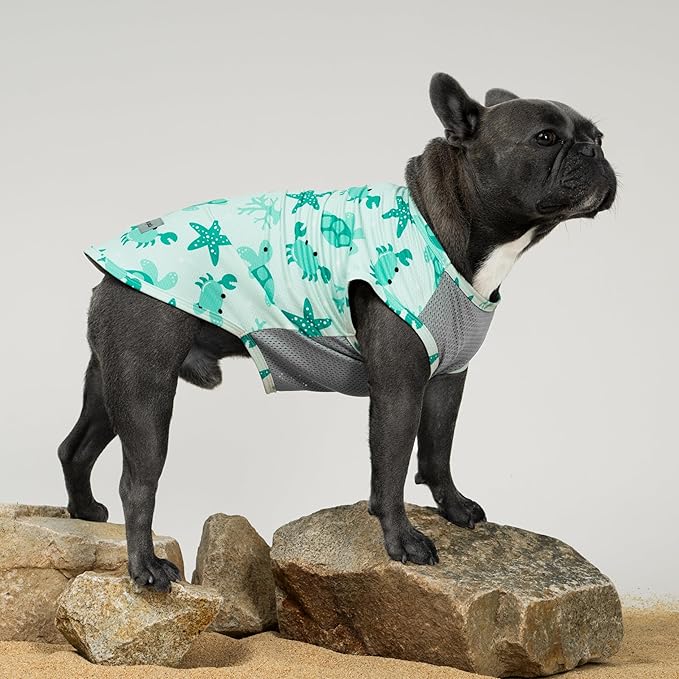 Fitwarm 2 Pack Marine UPF 50+ UV Sun Protection Dog Shirt, Lightweight Cooling Vest, Quick Dry Summer Clothes for Small Dogs Boy Girl, Pet Outfit, Sky Blue, Mint Green, Small
