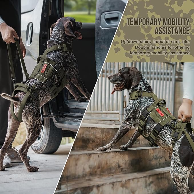 OneTigris Breathable Dog Lift Harness for Medium Sized Dogs, Dog Sing for Large Dogs Hind Leg Support, Hip Support Brace Front Leg Vrace (Green, X-Large)