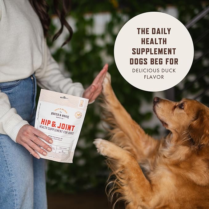 Rocco & Roxie Joint Supplement for Dogs, Glucosamine Hip and Joint Chews, Dog Joint Supplement Large & Small Breed, Senior Dog Vitamins to Support Mobility, Chondroitin, MSM, Health Supplies 60 ct