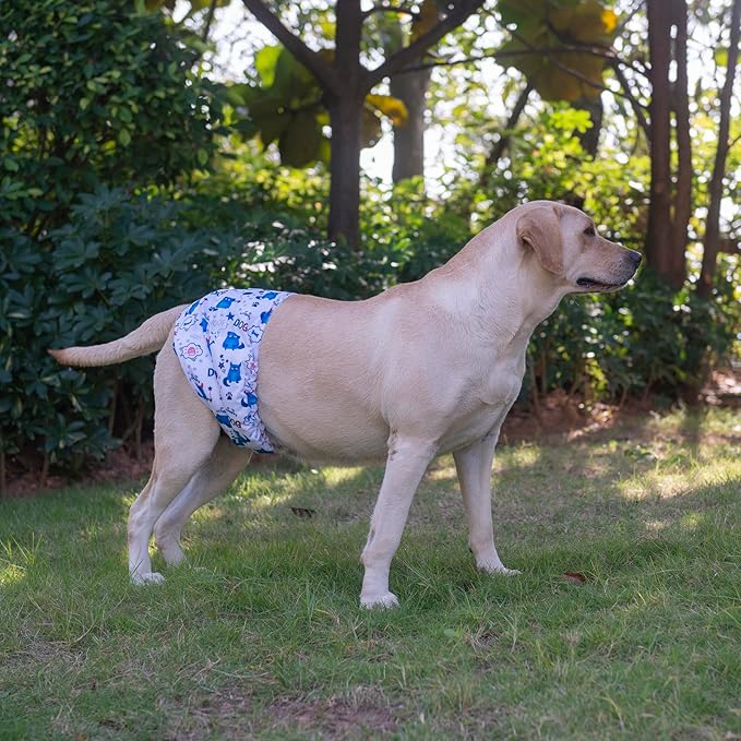 CuteBone Belly Band for Male Dogs Large DM14L