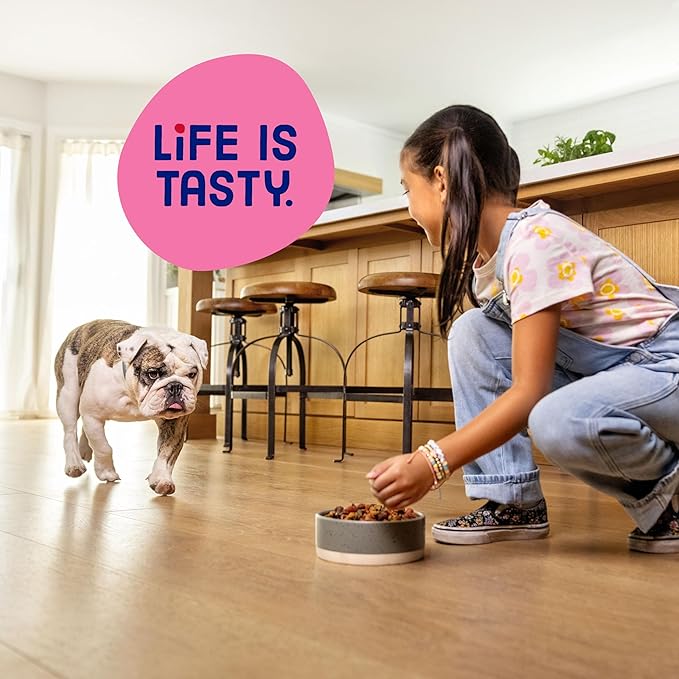 Kibbles ‘n Bits Mini Bits Small Breed Dry Dog Food, Savory Bacon & Steak Flavor for Adult Dogs, 16 lb. Bag