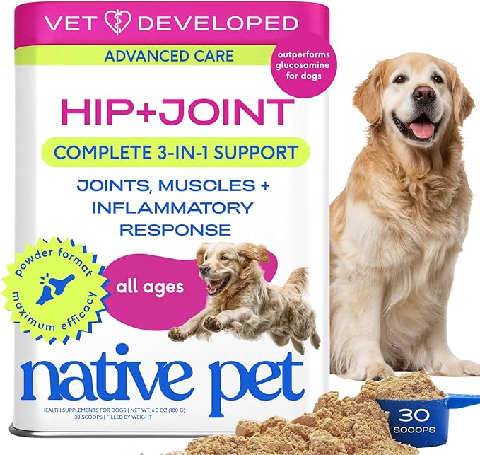 Native Pet Hip & Joint Advanced Care Dog Joint Supplement Powder for Mobility & Movement Support, Joint Supplement for Dogs with HMB, UC-II Collagen, Green Lipped Mussel & Hyaluronic Acid – 30 Scoops