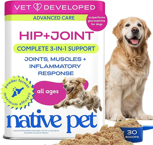 Native Pet Hip & Joint Advanced Care Dog Joint Supplement Powder for Mobility & Movement Support, Joint Supplement for Dogs with HMB, UC-II Collagen, Green Lipped Mussel & Hyaluronic Acid – 30 Scoops