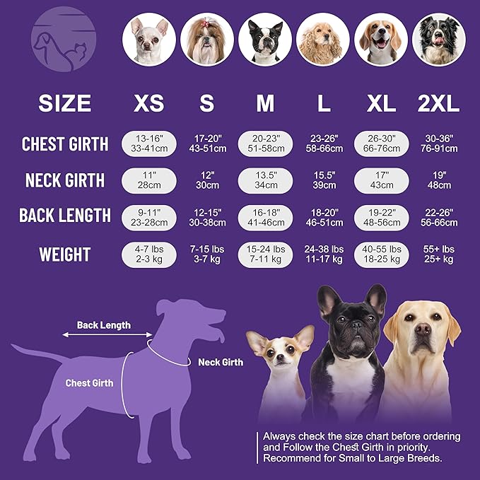 cyeollo 2pack Surgery Recovery Suit for Dogs Cats Soft Breathable Female Male Pet Bodysuit After Surgery for Spay, Neuter, Surgical Recovery Onesie Shirt for Small Dogs, Pink & Purple, XS