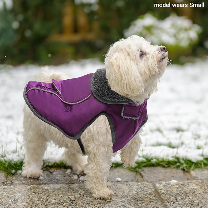 Dog Winter Coat - Warm Dog Clothes for Rain Snow Wind Cold Weather - Reflective Purple Adjustable Windproof Pet Vest Jacket with Leash Hole for Small Medium Large Dogs Indoor Outdoor