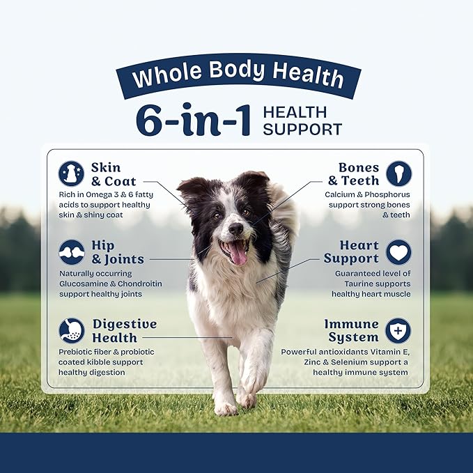Natural Balance Health Protection Dry Dog Food – Whole Body Health, Easy on Digestion Dog Food Made with Salmon, Brown Rice & Pumpkin for Dogs - 4lbs.