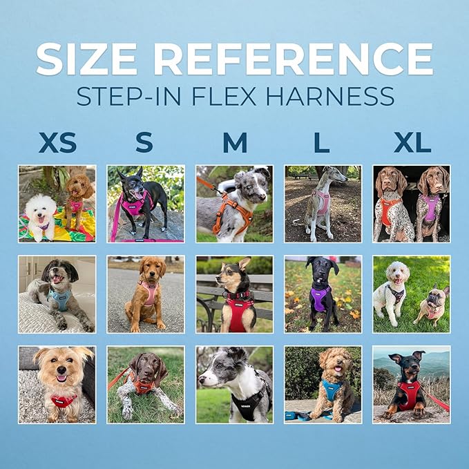Best Pet Supplies Voyager Adjustable Step-In Flex Breathable Mesh Dog Harness for Small Medium Large Dogs (Black), XL