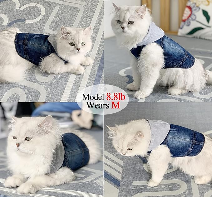 Pet Clothes Dog Jeans Jacket Cool Blue Denim Hoodie Coat, Puppy Clothing Shirt Costume, Doggy Vintage Washable Lapel Vest, Dog Classic T-Shirt Apparel for Small Medium Dogs Cats (Blue, Small)