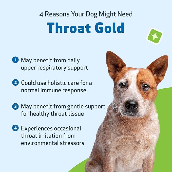Pet Wellbeing Throat Gold for Dogs - Supports Collapsed Trachea & Throat Discomfort with Mullein & Slippery Elm for Kennel Cough - NASC Certified & Vet-Formulated 2 oz Liquid Formula