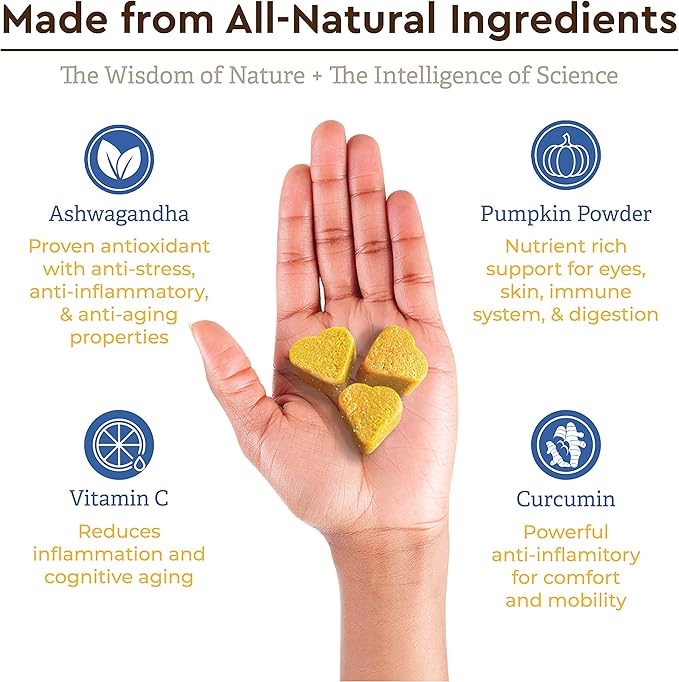 Super Multi-Vitamin Chew with Ashwagandha. Multivitamin for Joint, Skin, Gut, Brain, Bone, Heart & Immune Health - All Natural Ashwagandha, Curcumin, Pumpkin Powder & Vitamin C (90 Chews).