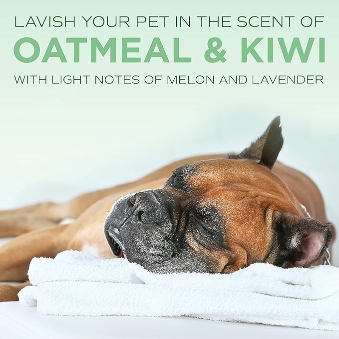 TropiClean SPA Lavish Dog Shampoo | Calming Deodorizing Dog Shampoo | Naturally Derived Salon Grade Ingredients | Made in the USA | 1 Gallon