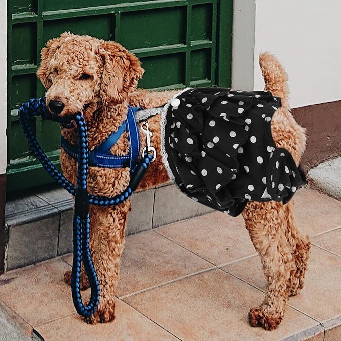 Kisangel Dog Diaper Female Physiological Pants Breathable Fabric and Adjustable Straps, Black L Size, Pet Sanitary Nappies for Female Dogs During Heat Cycle and Incontinence