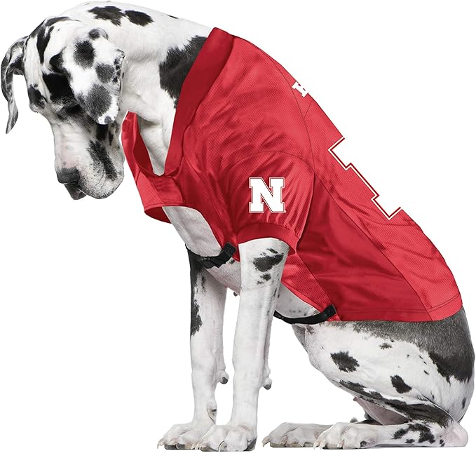 Littlearth Nebraska Cornhuskers NCAA Stretch Pet Jersey