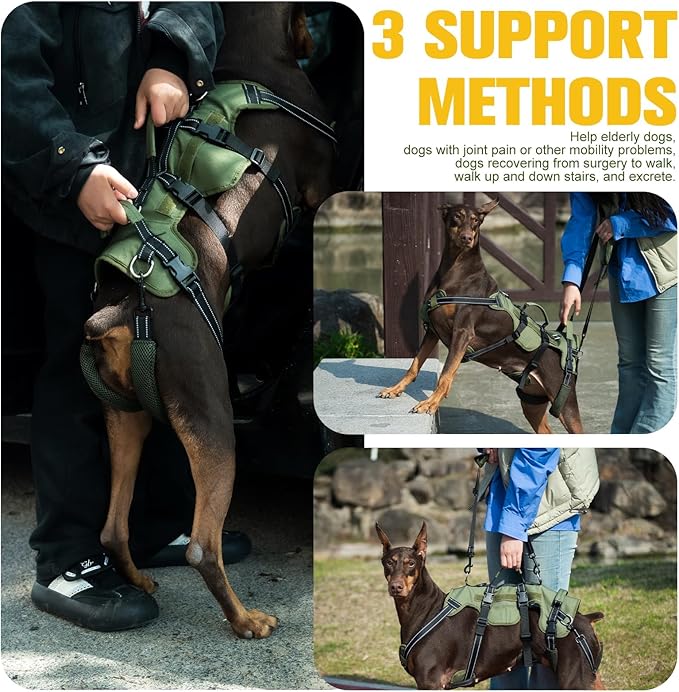 BINGPET Dog Lift Harness for Large Dogs,Full Body Support Rehabilitation Dog Sling Carrier with Handles,Reflective Multifunctional Mobility Assistance Vest for Senior Pets Joint Injuries,Arthritis,XL