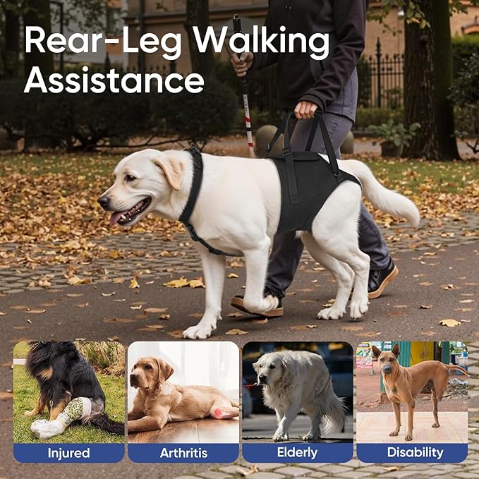 Supet Dog Sling for Large Dogs Hind Leg Support, Senior Dogs Lift Assist Harness for Weak Back Leg Support, Help Large Breed Rear Leg Up Harness, Mobility Aids for Elderly, Injured, Paralyzed Dog, XL