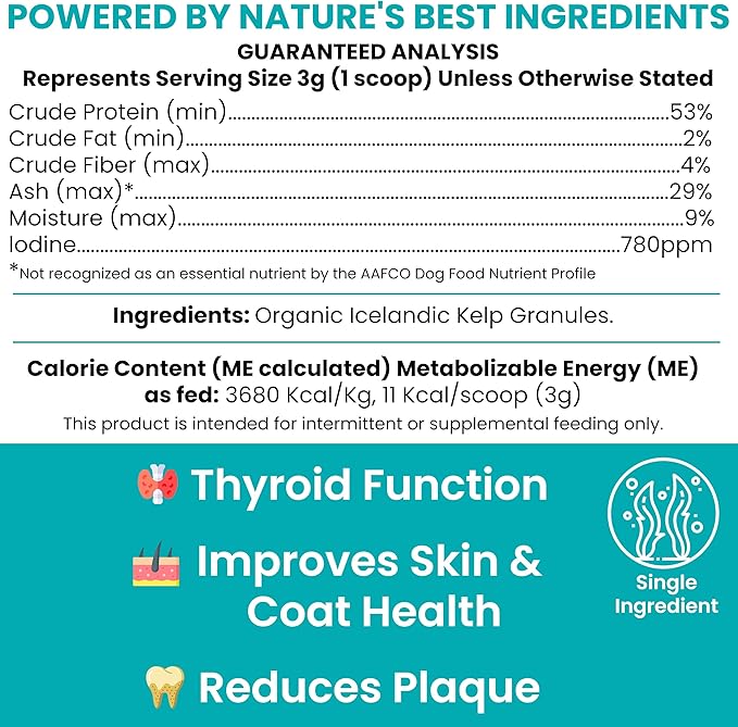 Sea Kelp Powder for Dogs - Thyroid, Dental & Plaque Support, Skin & Coat - Chew + Heal Labs Iodine-Rich 4 oz Kelp Supplement, Immune Health, Natural Seaweed Meal Topper with 5cc Spoon, Made in USA