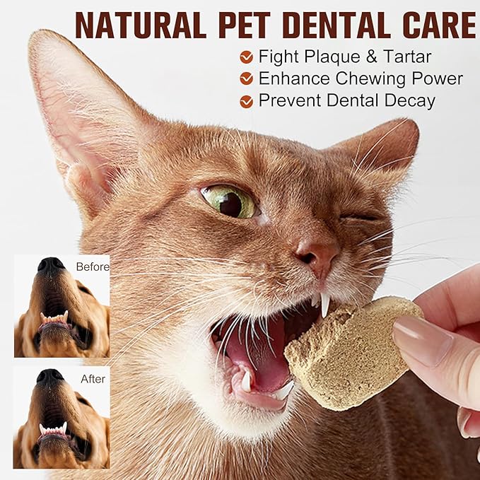 Freeze - Dried Chicken Salmon for Cats and Dogs - Premium Quality, All - Natural Pet Treats (Chicken)