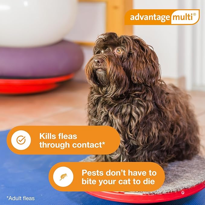 Advantage Multi Topical Solution for Dogs 6 Doses, 3-9 lbs (Green)