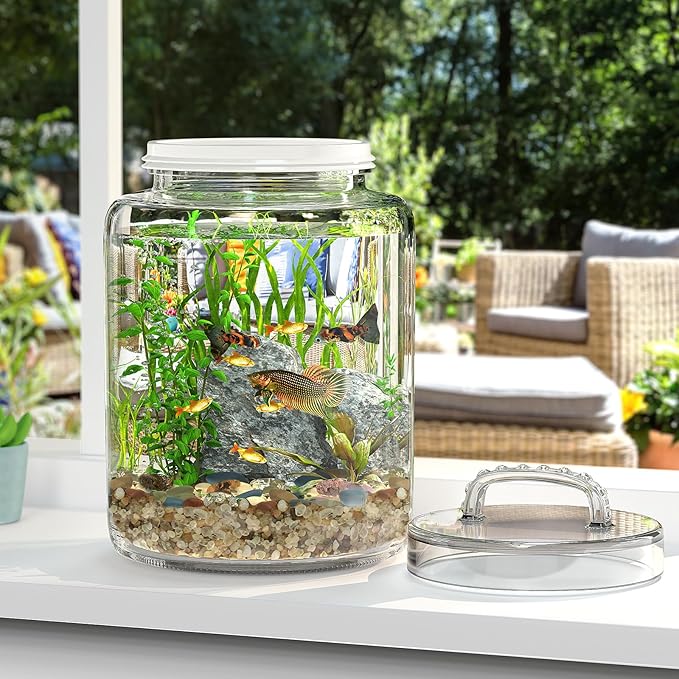3 Gallon Glass Jar with Lid, Wide Mouth Large Glass Canister with lid, Super Large Cookie Jar for Food Storage, Sugar, Flour, Cookies,Dog Treats