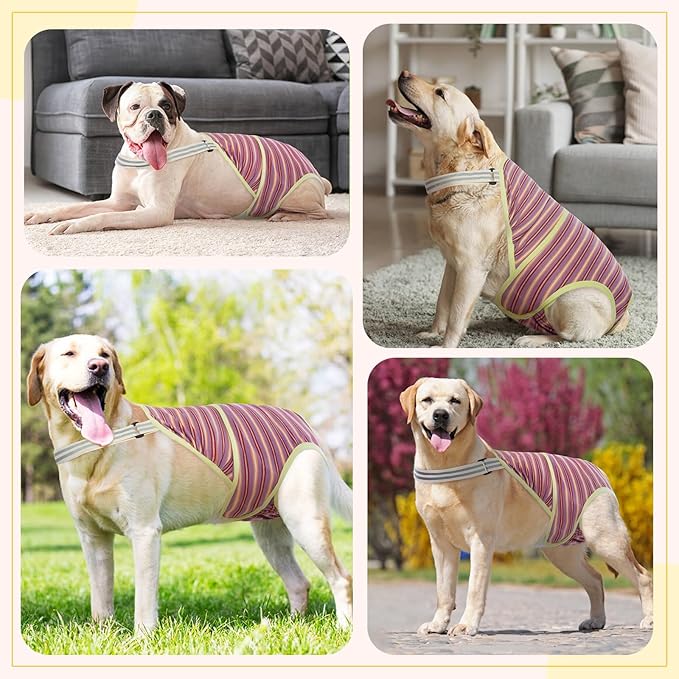 Female Dog Diapers for Heat, Washable Onesie Sanitary Pantie with Adjustable Suspender Washable, Reusable Dog Period Panties Doggie Diapers for Medium Dogs, S