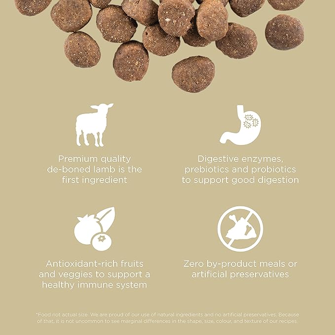 Go! Solutions Carnivore Lamb + Wild Boar Grain-Free Dry Dog Food, Our Highest-Protein Kibble Made with Real Meat, Pumpkin & Probiotics for Good Digestion, for Puppies, Adults & Seniors, 22 lb Bag