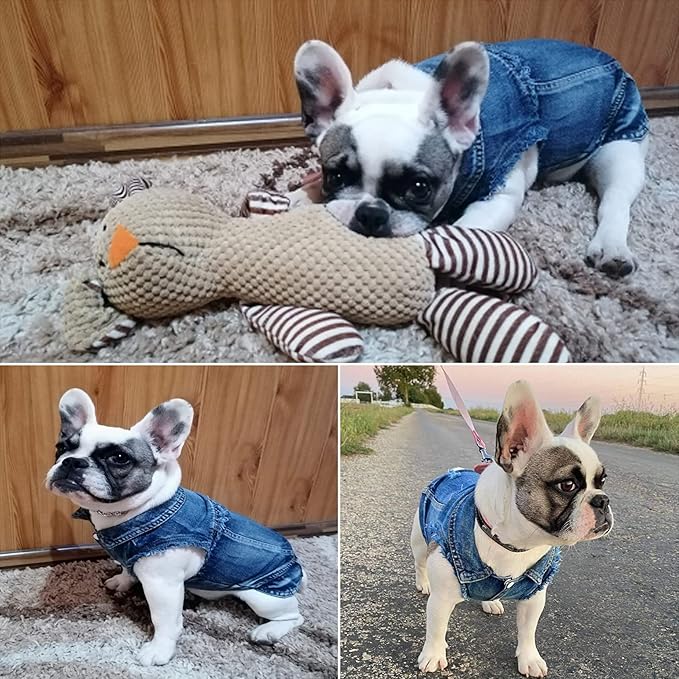 Dog Jean Jacket, Blue Denim Lapel Vest Coat T-Shirt Costume, Cute Girl Boy Puppy Clothes, Comfort and Cool Apparel, for Small Medium Dogs Cats, Machine Washable Dog Outfits (XS, Blue)