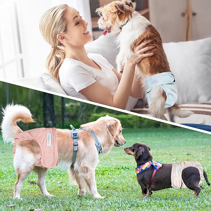 Langsprit Washable Female Dog Diapers (3 Pack) - No Leak Reusable Diapers for Doggy Female in Period - Highly Absorbent Dog Heat Panties with Adjustable Snaps Black M Size
