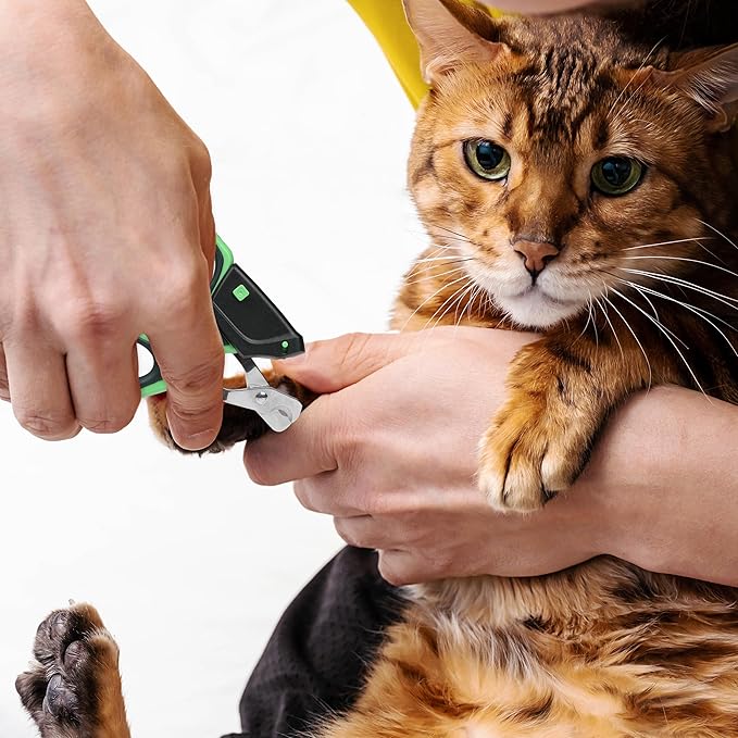 Mr. Pen- Cat Nail Clipper with Adjustable LED Light, Green Cat Nail Trimmer, Cat Claw Clippers, Cat Clippers for Nails, Pet Nail Clippers, Kitten Nail Clipper, Small Dog Nail Clipper Cat Claw Trimmer