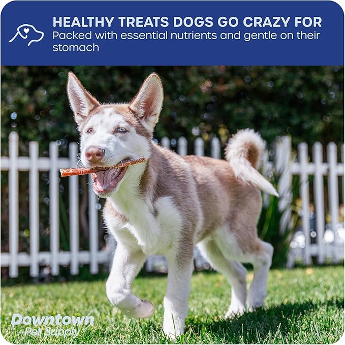 Downtown Pet Supply Bully Sticks - 12" REGULAR - 48 Pack -SOUTH AMERICA & TURKEY