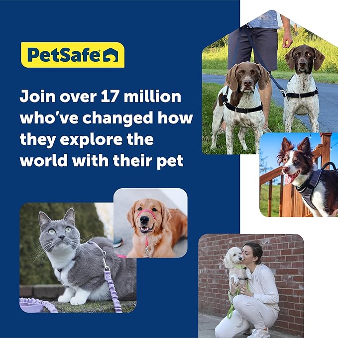 PetSafe Easy Walk Harness for Dogs - Pull-Free Walks - Patented Martingale Loop Design - Front Chest Leash Attachment - Comfort Straps - Breathable Harness Design - Medium/Large, Apple Green/Gray