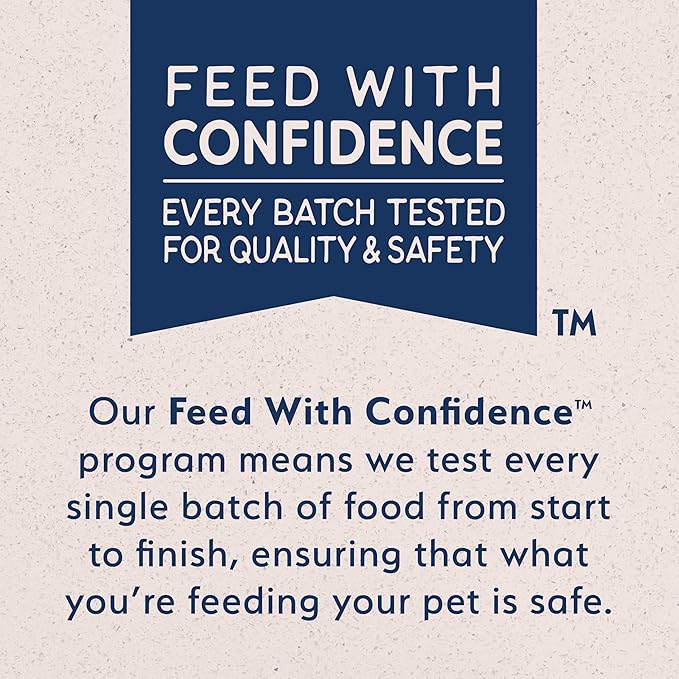 Natural Balance Limited Ingredient Adult Grain-Free Wet Canned Dog Food, Sweet Potato & Salmon Recipe, 13 Ounce (Pack of 12)