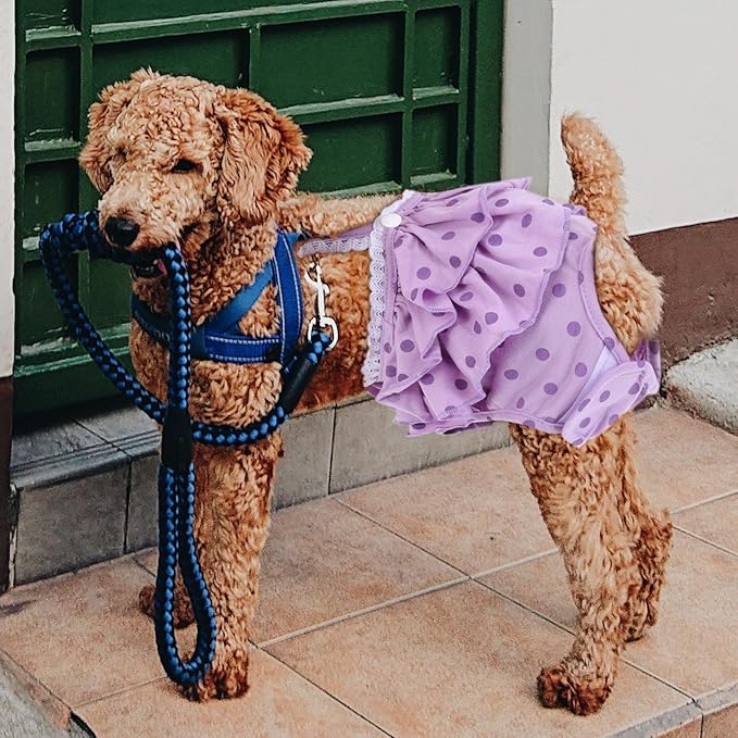 Pet Dog Sanitary Diaper Pants with Breathable Fabric, Purple Polka Dot Puppy Sanitary Pantie, Size L, Female Dog Physiological Nappies for Heat Period Protection