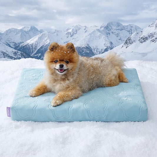 LE SURE Orthopedic Cooling Dog Bed for Small Dogs, Q-Max>0.5 Cooling Mat with Removable Washable Cover, Breathable Egg Crate Foam Summer Pad for Active/Long-Haired/Senior Pets/Cats/Puppy, 23x17 Inch