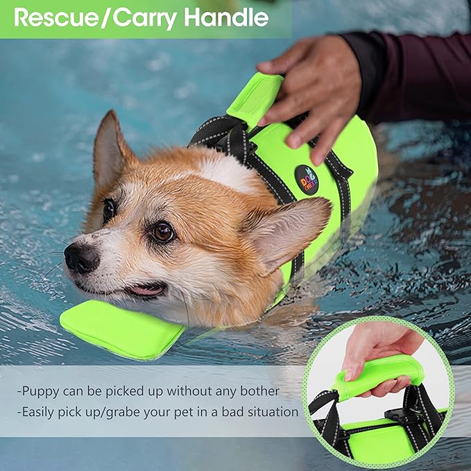 Dogcheer Dog Life Jacket with Back Zipper, High Buoyancy Puppy Swimming Vest, Dog Life Vest for Boating, Reflective Pet Floating Swim Vest PFD for Small Medium Large Dogs-Green,M