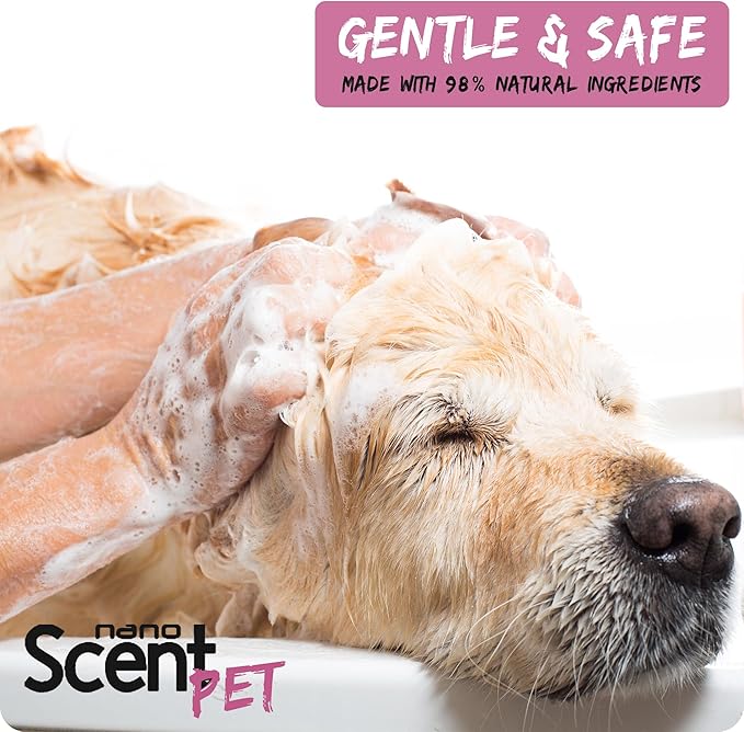 Pet Shampoo with Sea Salt for Dogs & Cats – Nano Tech Long-Lasting Fresh Clean Scent, Eliminates Odors All Day, Professional-Strength Formula, 13× Longer Lasting - Baby Powder (200mL)