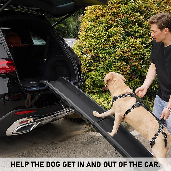 COODEO Mobility Dog Lift Harness, Support Sling & Walking Sling for Dogs, Pet Rear Leg Rehabilitation Support Vest, Dog Carrier for Senior Dogs with Joint Injuries, Arthritis, Up Stair (Black, XL)