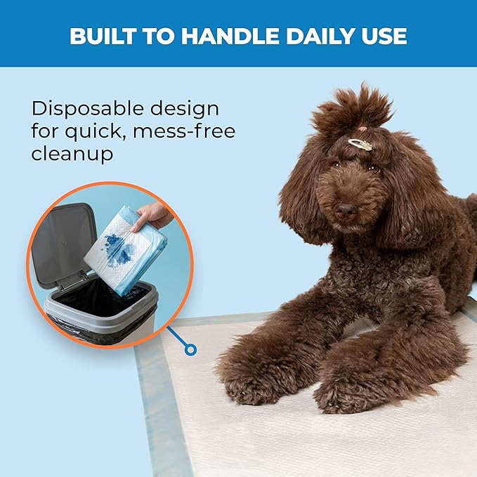 Best Pet Supplies XL (36 x 28 Inches) Puppy Pads 100 Count - Super Absorbent Dog Training Pads, Quick-Dry, Odor Control, Disposable Pee Pads, Leak-Proof Wee Wee Pads for Indoor Dogs – Baby Blue