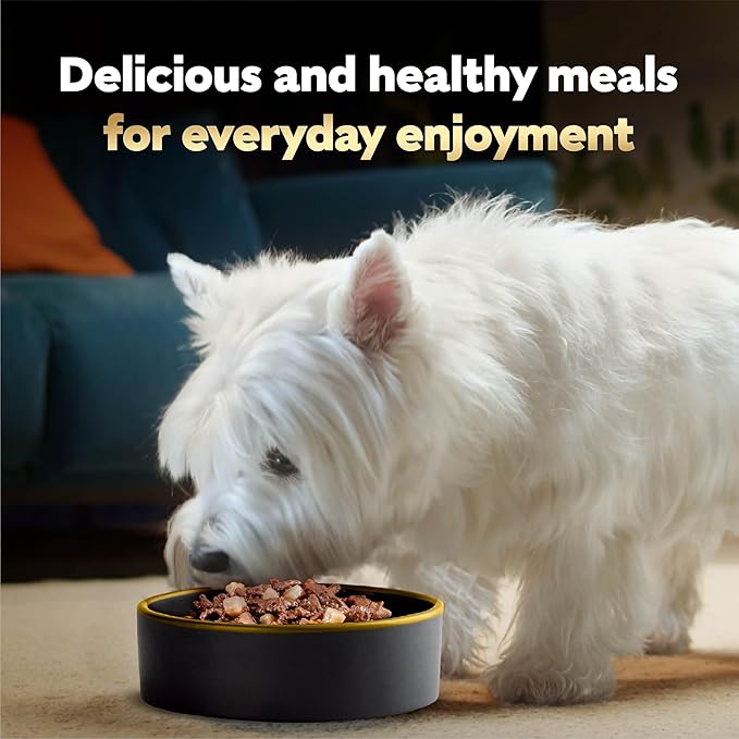 Cesar Home Delights Adult Wet Dog Food, Slow Cooked Chicken & Vegetables Dinner in Sauce and Beef Stew Variety Pack, Wet Food for Dogs, 3.5 oz Tray, 12 Count (Pack of 2)