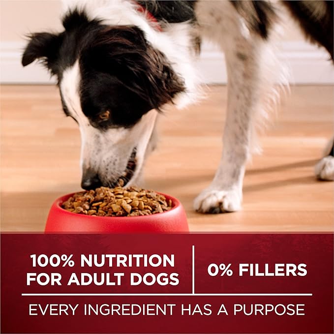 Purina ONE True Instinct With Real Salmon and Tuna Natural With Added Vitamins, Minerals and Nutrients High Protein Dog Food Dry Formula - 27.5 lb. Bag