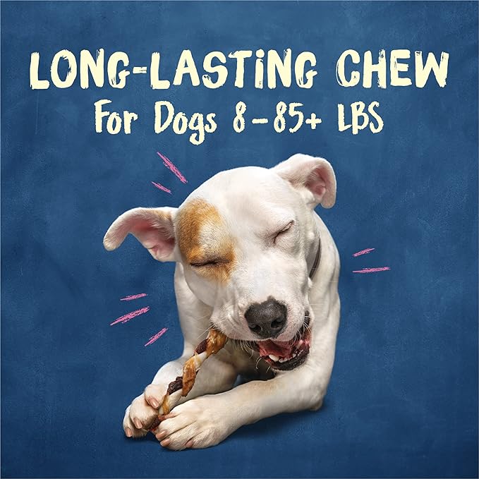 Purina Busy Bone Jerky Twists Grain Free Small/Med Breed Beefhide and Chicken Dog Jerky Treats - (Pack of 5) 20 ct. Pouches