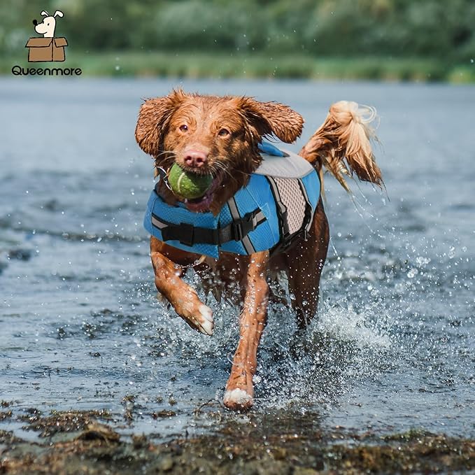 Queenmore Dog Life Jacket Vest for Swimming Boating Kayaking, Small Medium Doggie Puppy Life Preserver Lifesaver Pet PFD Lifejacket Safety Water Vest Pool Floatie (New Blue,L)