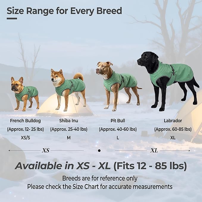 Dog Winter Vest with Fur-Safe Buckle (No Hook & Loop), Water-Repellent Fleece Lined Jacket, 360° Reflective, Leash Hole & Leg Straps, Adjustable for Hiking & Active Dogs (Green, Medium)