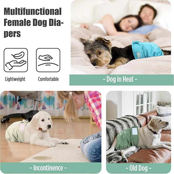 wegreeco Female Dog Diapers, Washable Reusable Pet Puppy Doggie Diapers for Small Medium Large Female Dogs in Heat Period, Doggy Period Panties Medium, Blue Green