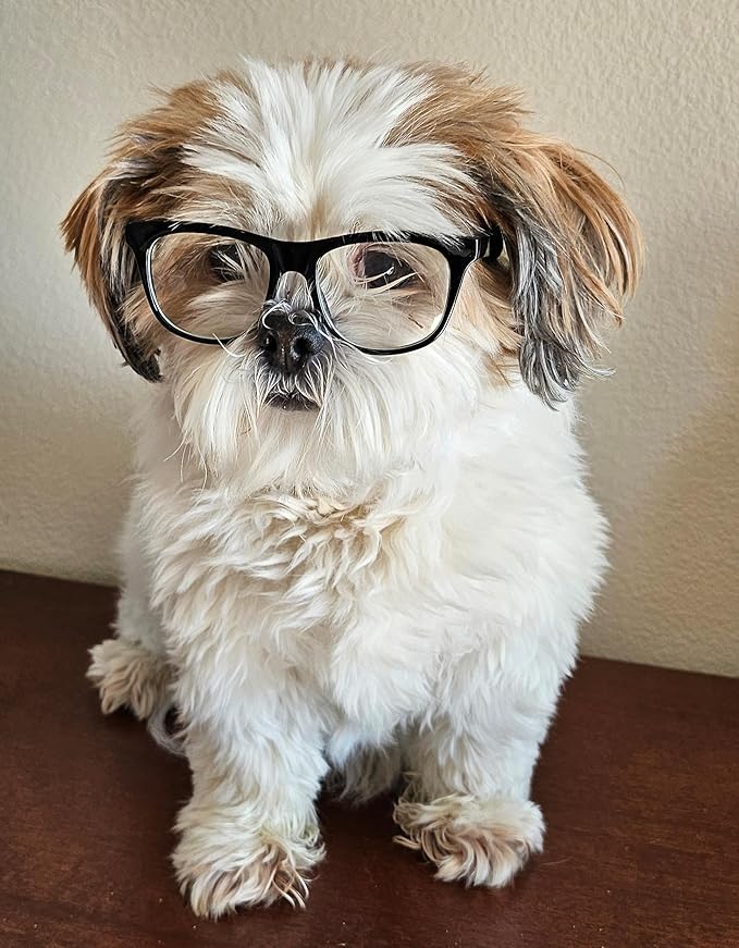 G002 Dog Pet Clear Lens Costume Glasses Small to Medium Breeds 12LBS~30LBS Prop Photoshoot Sunglasses (80s Black-Clear)