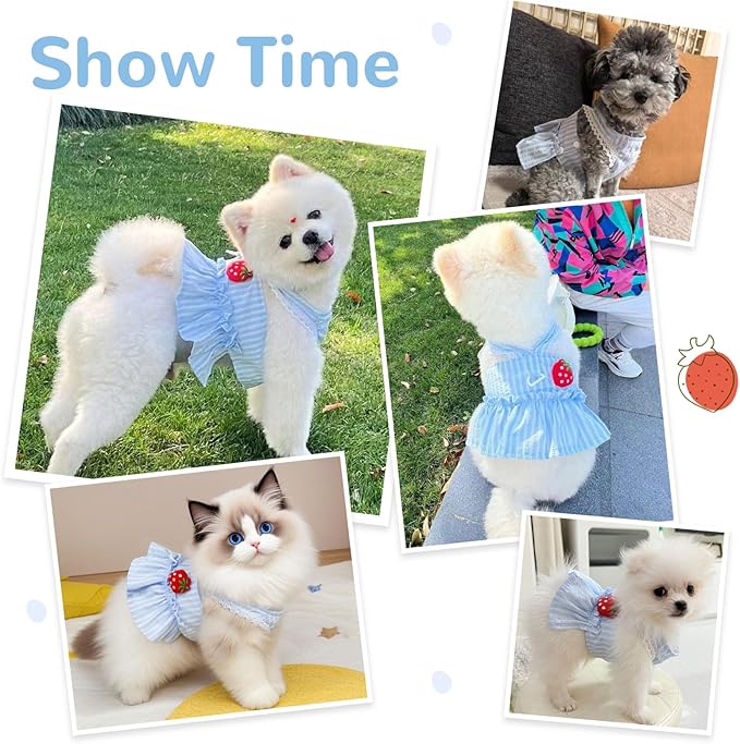 Cute Strawberry Small Dog Dress with D-Ring Princess Lace Girl Female Dog Clothes Spring Summer Breathable Mesh Pet Puppy Cats Harness Dress for Shih Tzu Yorkies Chihuahua(Blue,Large)
