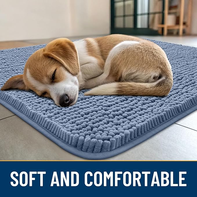 Smiry Dog Door Mat for Muddy Paws 59x24, Absorbs Moisture and Dirt Doormat, Non-Slip Washable Quick Dry Chenille Front Door Mat Indoor Entrance, Entryway Carpet for Inside Floor, Airy Blue