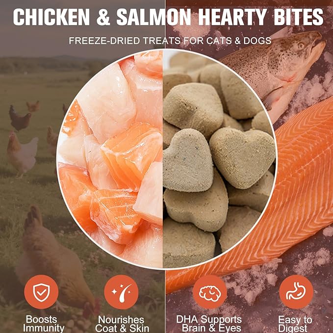 Freeze - Dried Chicken Salmon for Cats and Dogs - Premium Quality, All - Natural Pet Treats (Chicken)