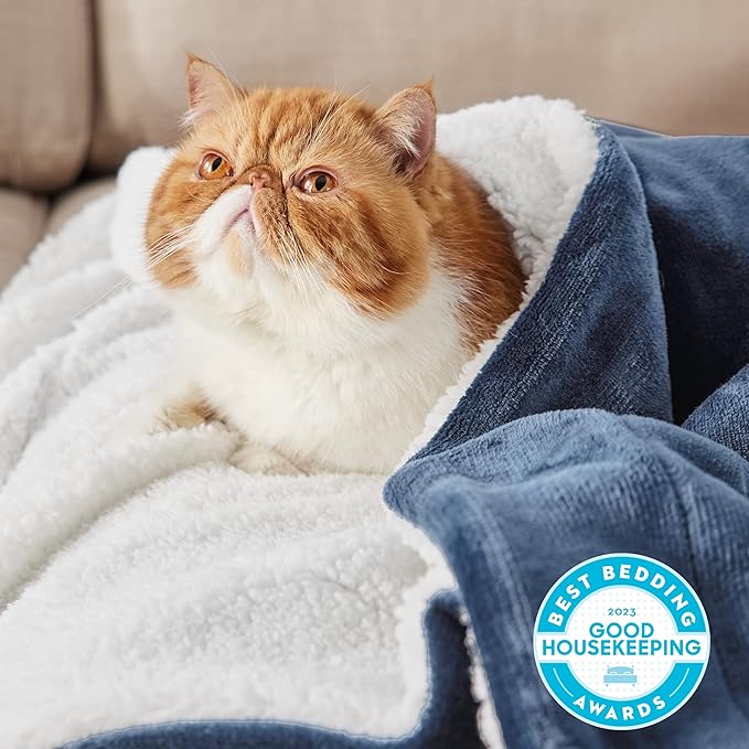 Bedsure GentleSoft Sherpa Fleece Blanket Queen Size for Bed, Non-Heated, Thick and Warm Throw for Women and Men, Soft Fuzzy Plush Queen Blanket for Winter, Slate Blue, 90x90 Inches