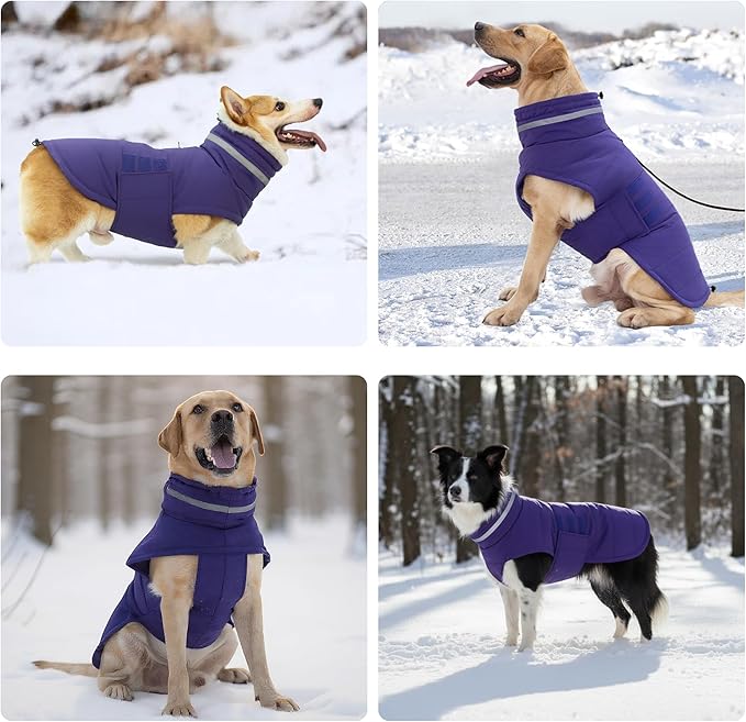 Mklhgty Waterproof Dog Coat for Medium Dogs, Warm Dog Winter Jacket, Reflective Windproof Turtleneck Dog Cold Weather Coats with Adjustable Hook & Loop - Purple - M